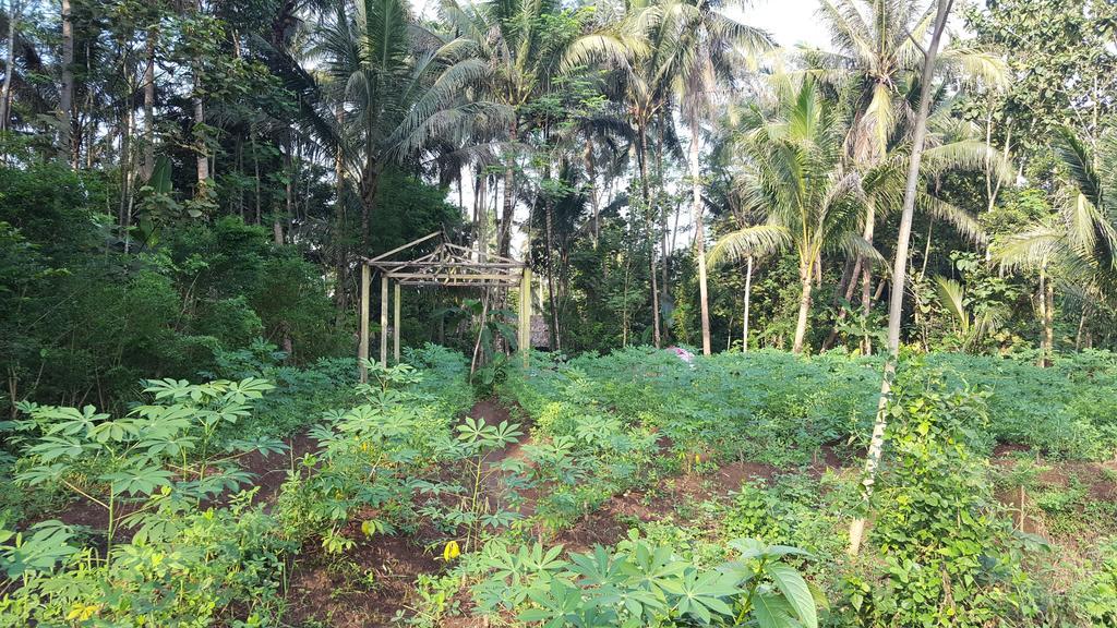 Jolan Jalan Homestay Borobudur Mungkid Exterior photo