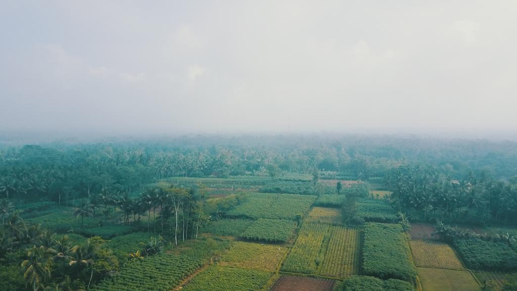 Jolan Jalan Homestay Borobudur Mungkid Exterior photo